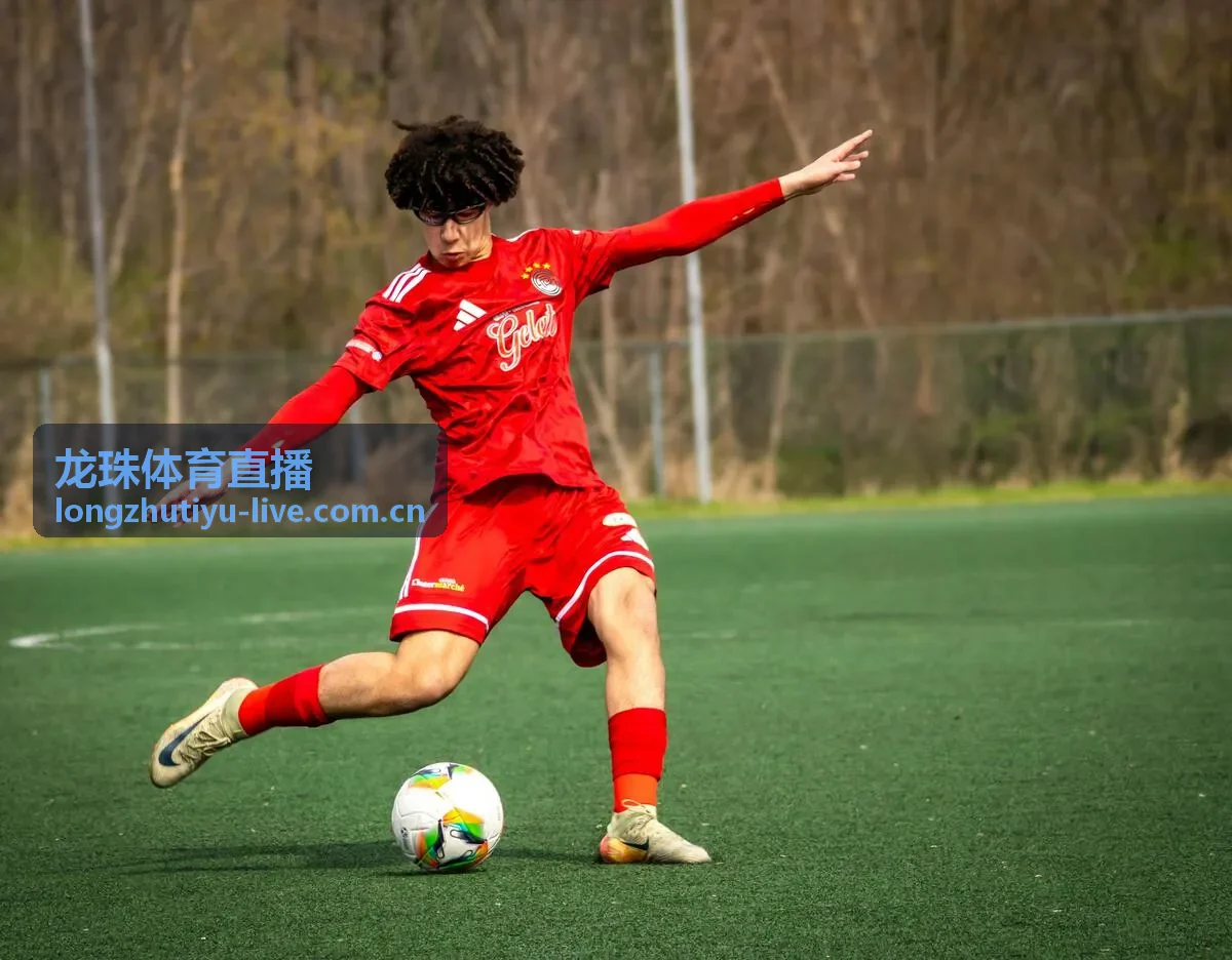 龙珠体育直播欧冠篮球四强赛直播封面